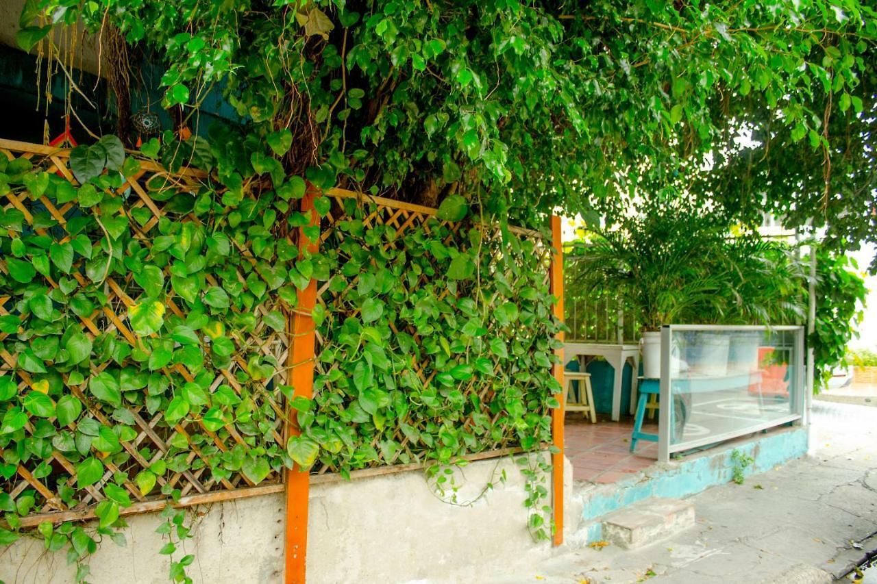 Hostel Nahimara Casa
