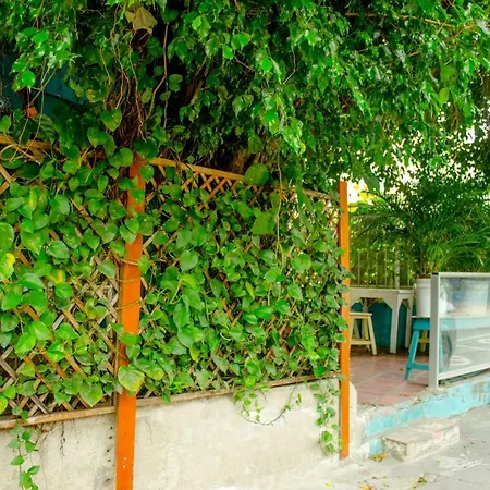 Hostel Nahimara Casa